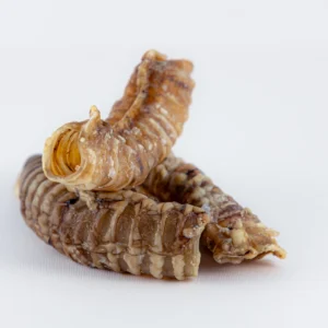 Trachea di bovino (100g)