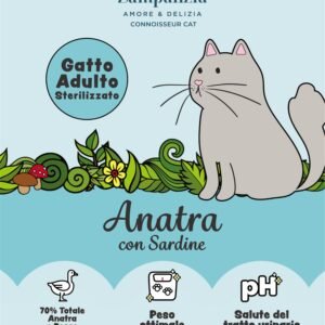 Anatra e sardine