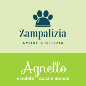 Agnello con patate dolci e arance