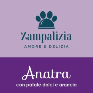 Anatra con patate dolci e arancia