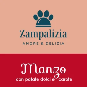 Manzo con patate dolci e carote
