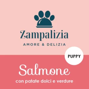 Salmone con patate dolci e verdure