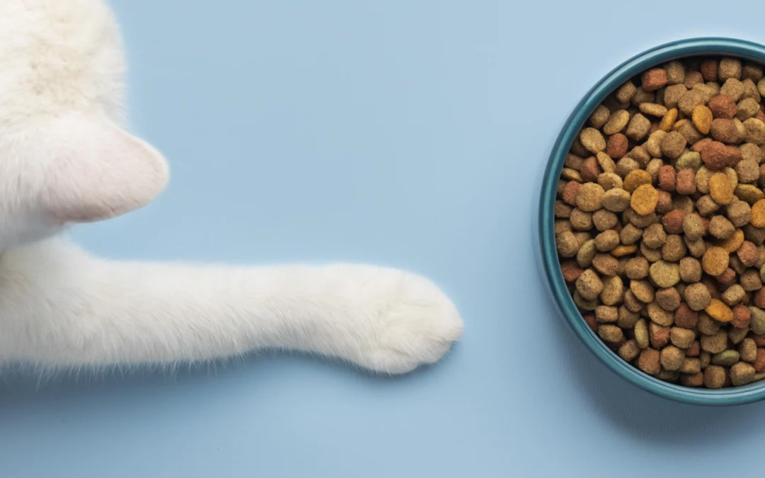 Cibo per gatti sterilizzati