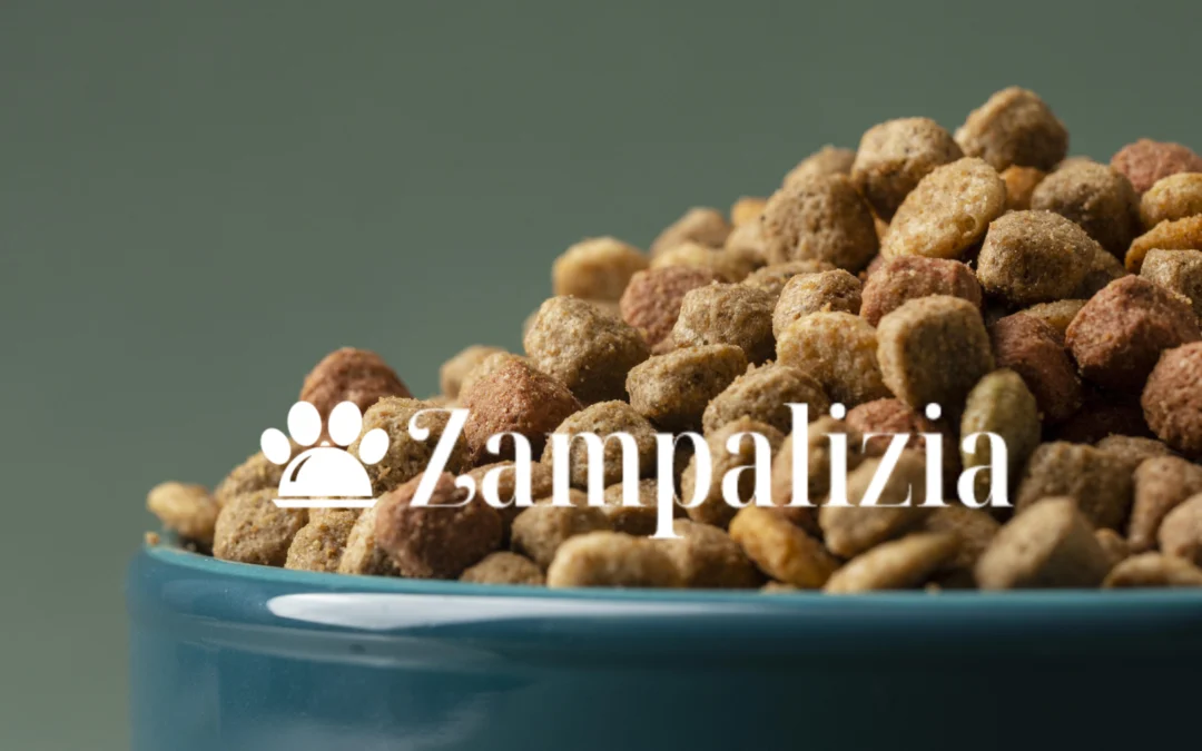 Guida Definitiva Alle crocchette